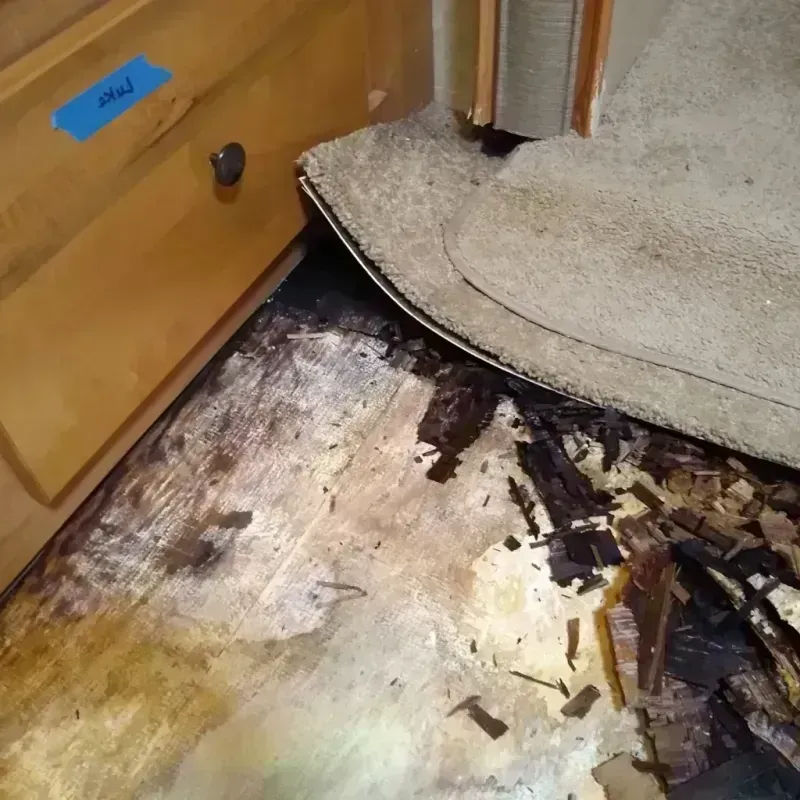 Best Wood Floor Water Damage Service in Ashland, PA